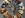All Kind Of Guitars anwap.org